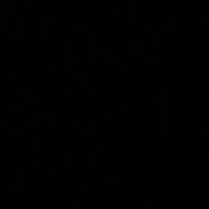 Meet your Posher, Adrian